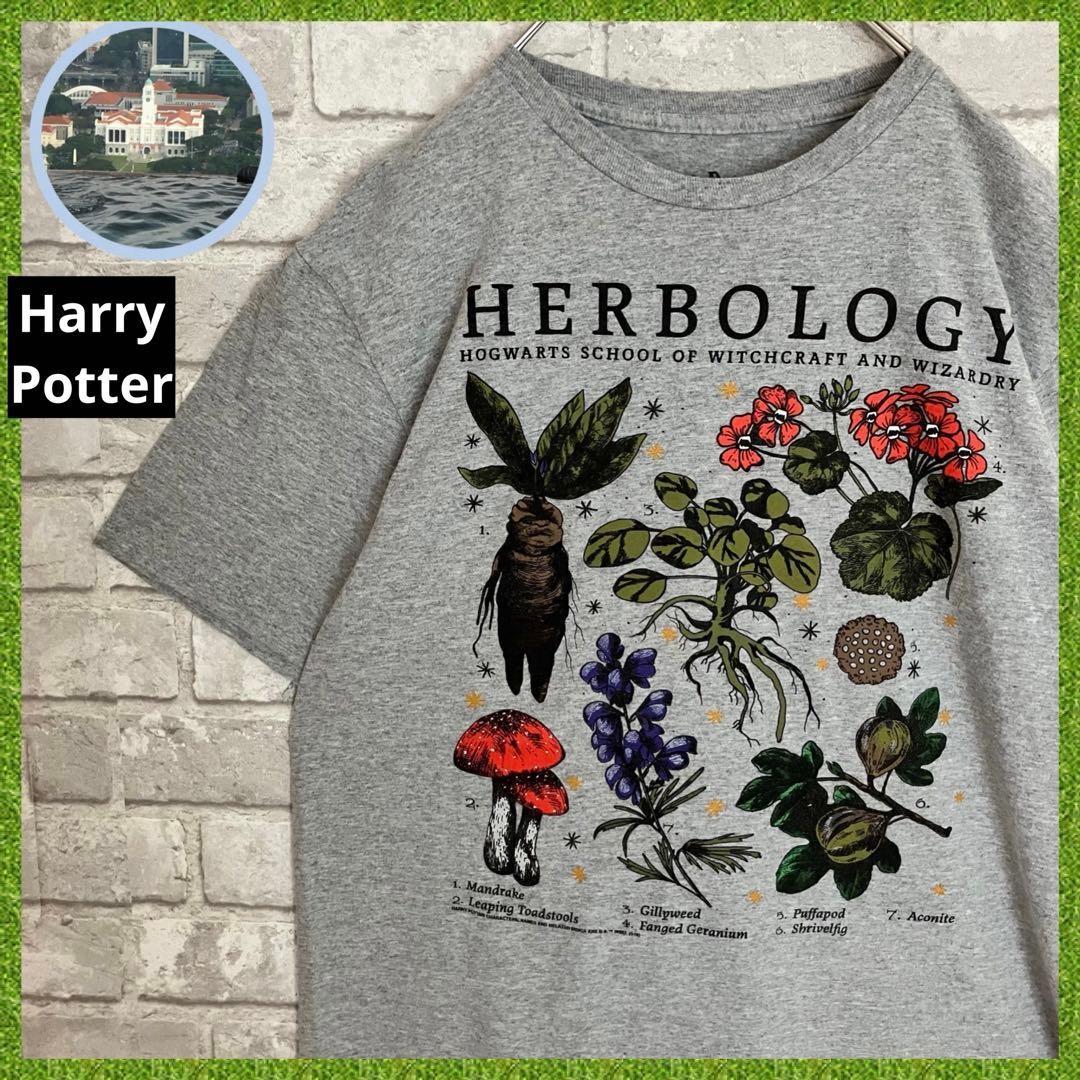 Movie Harry Potter Hogwarts Herbology HERBOLOGY Movie T-shirt S