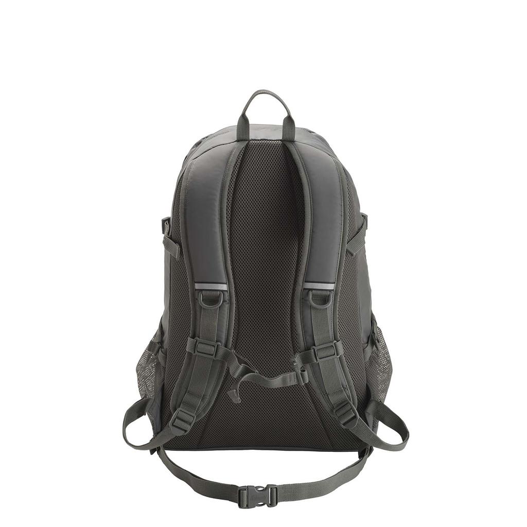Coleman Walker 33 Shine Gray 2185801