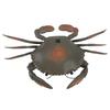 RC Crab Toy Educational Simulated Sea Life Animals Electric Crab Animal Model for Kids Birthday