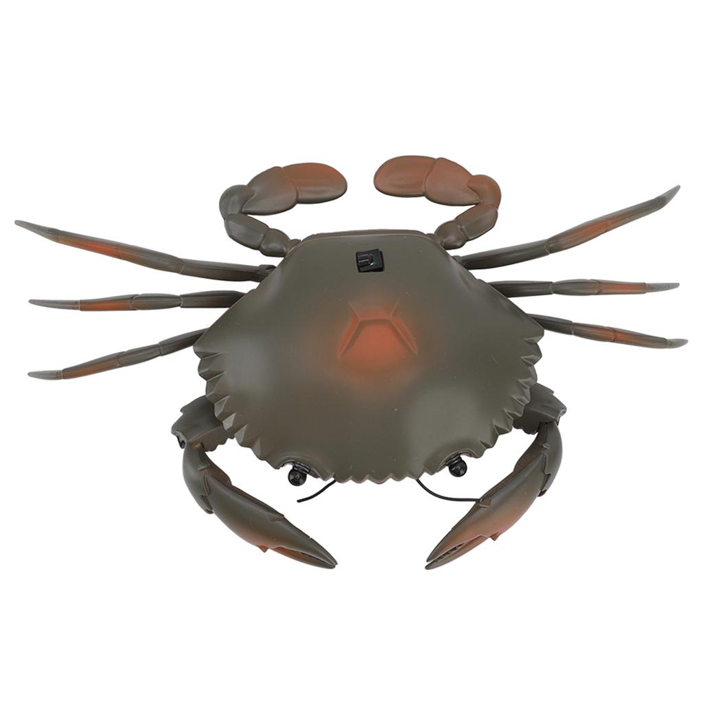 RC Crab Toy Educational Simulated Sea Life Animals Electric Crab Animal Model for Kids Birthday
