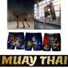 Retro Vintage Skull Skeleton Ghost Horror Gothic Boxing Muay Thai Kickboxing Shorts 3D Print Training Unisex Men Women Fitness Gym Sport Workout