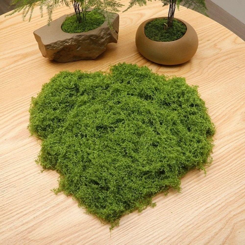 DIY Craft Faux Preserved Moss Polyester Simulation Green Moss Preserved Reindeer Moss Bonsai