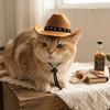 Dress-Up Puppy Vest Set Retro Pet Outfits Funny Dog Cowboy Costumes  Cat
