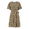 Womens/Ladies Leopard Print V Neck Skater Dress