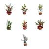 Wood Base Christmas Tree with Faux Branch Detail for Desk, Shelf, Counter, Entry Table, and Shop Front Display
