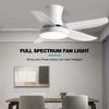 42" 52"  Lamp Frequency Conversion Remote Control Ceiling Fan Light Balcony Fan Ceiling Fan With Light LED Full Spectrum Fan