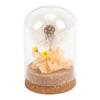 Real Dandelion Eternal Flower Natural Elegant Preserved Flower In Glass Dome for Bedroom Living Room Office
