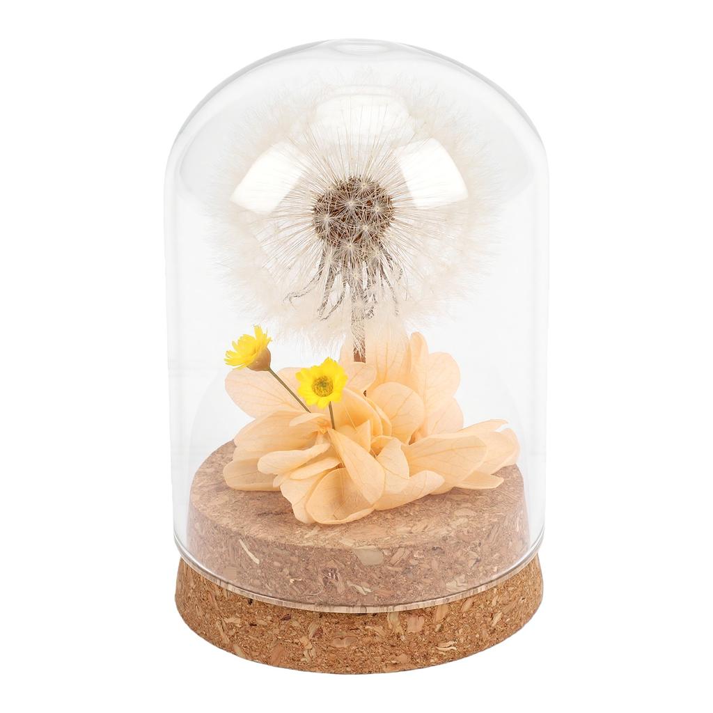 Real Dandelion Eternal Flower Natural Elegant Preserved Flower In Glass Dome for Bedroom Living Room Office