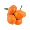 QX2E Artificial Tangerine Fruit Simulation Foams Tangerine Realistic Tangerine Fruit