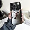 Pet Cat Funny Memes Phone Case For iPhone 16 15 14 13 12 11 Pro Xs Max Mini Plus Antislip Shockproof Hard Funda