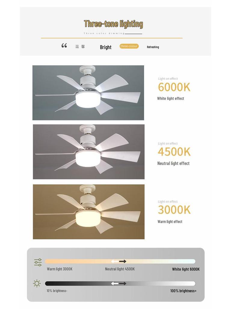 Six-Leaf Flower Pattern Ceiling Fan Light with Removable Blades, E27 Base, Ideal for Bedroom & Living Room.