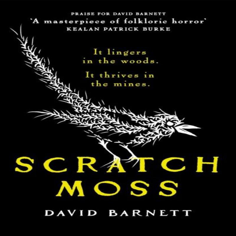 Scratch Moss by David Barnett Paperback Book 9781835983195