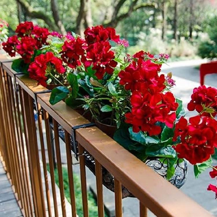 Realistic Artificial Begonias Flower 14Inch Simulation Flower For Home Decoration Wedding Bouquets Flower Arrangements