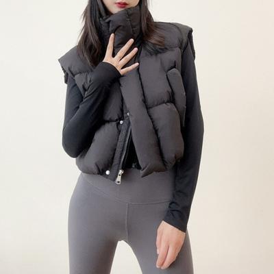 Women's Thick Warm Vest Autumn Winter Zipper Closure Loose Jacket with Pockets Windproof Stand-Up Collar Gilet