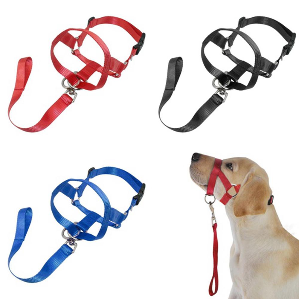 bite not collar walmart