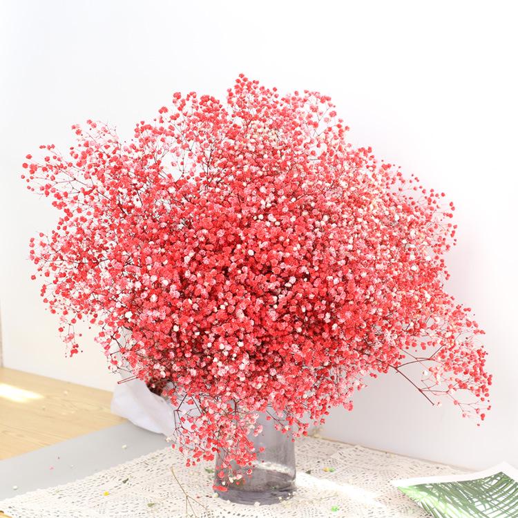 Eternal Gypsophila Bouquet: Color-Absorbing Ilocos Flowers for DIY Floral Arrangements and Wedding Decorations