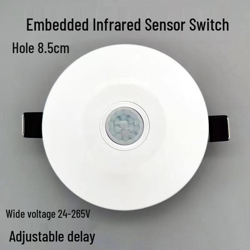Zhengxi Embedded Motion Sensor Switch with LED