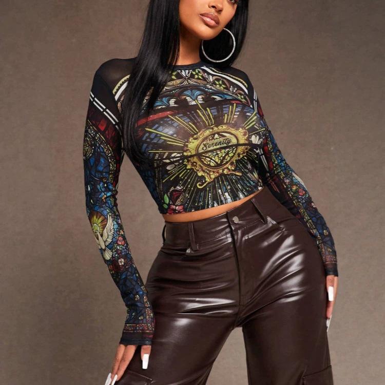 2026 New Retro Artistic Mesh Top, Personalized Painted Printed T-shirt, Elastic Micro-transparent Mesh Women
