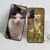 Haustier Katze Lustige Memes Handyhülle Für Redmi 13C 14C Note 13 14 Pro 5G Plus 12 12C 10 10A 10C 9 9A 9C 9T 8 8A K70 Pro Xiaomi Hülle S