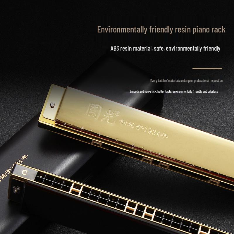 Guoguang 24-Hole Double Reed Harmonica, C Key for Beginner Students and Self-Study, Suitable for All Ages