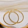 Rhodium-Plated Gold Large Exaggerated Hoop Earrings for Women – Silver Needle, Simple, High-End Ins Style