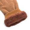 Suede Gloves Men's Autumn and Winter Windproof and Warm Fleece Thickened Touch Screen