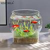 1PCS Round Shatterproof & Scratch-Resistant High-Transparency Fish Tank - Small Desktop Hydroponic Goldfish Tank for Office Home