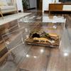 Observation Friendly Acrylic Terrariums For Pet Reptiles Geckos Rodents And Amphibians Animal Habitats Breeding Box