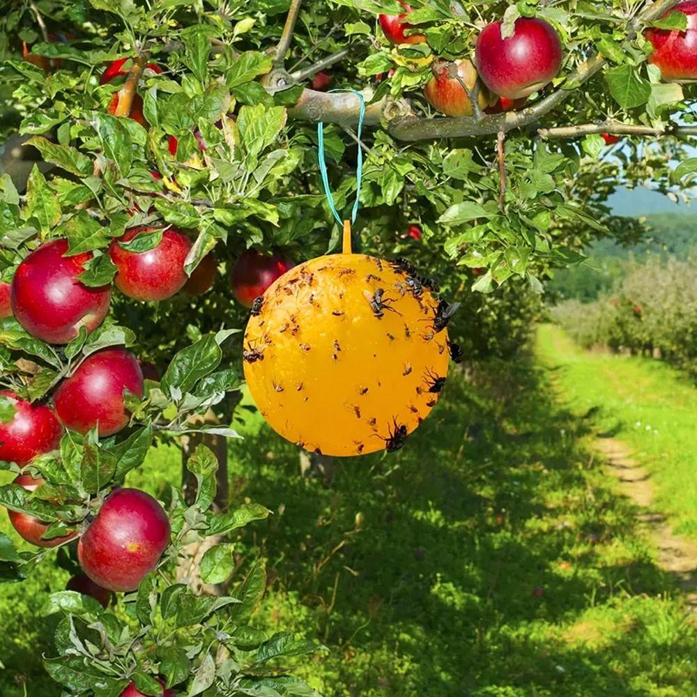 Waterproof Fruit Fly Balls Yellow Sticky Insect Ball Insect Trap Mosquito Ball Trap  Home