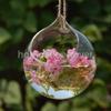Pianta da Fiore Appesa Vaso di Vetro Trasparente Bottiglia Vaso Matrimonio Giardino Sfera Decorazione