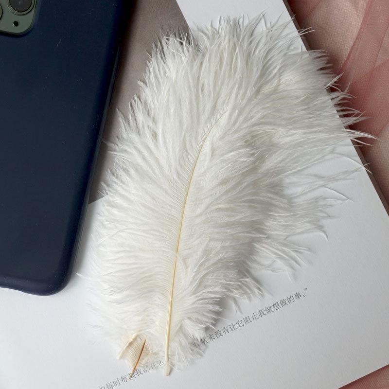 

15 см Черное Страусиное Перо Diy Ловец Снов Ювелирные Изделия Ремесла Материал Белое Перо Свадебный Фон Украшения Стены 20pcs белый