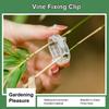 100Pcs Plant Support Clips Reusable Plastic Plant Vine Protection Grafting Fixing Tools for Vegetable Tomato Garden Supplies