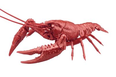Free Research Series Living Creatures Edition American Crayfish Plastic Model No.24 EX-6 (Metallic Red)