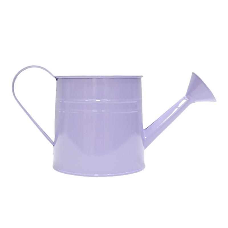 Vintage Iron Watering Can Planter Convenient Metal Container Perfect As a Flower Pots or Office Decoration