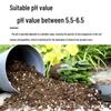 Organic Nutrient-Rich Vegetable Potting Soil: Loose & Breathable Growing Medium for Home Use
