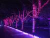 24V Waterproof LED Starry String Lights: Holiday & Outdoor Decor