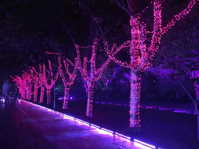 24V Waterproof LED Starry String Lights: Holiday & Outdoor Decor