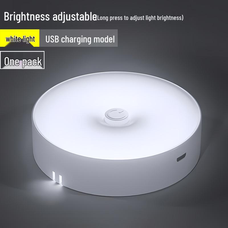 LED Motion Sensor Night Light for Bedroom, Bedside, Wardrobe, and Cabinet - Rechargeable Magnetic Induction Light