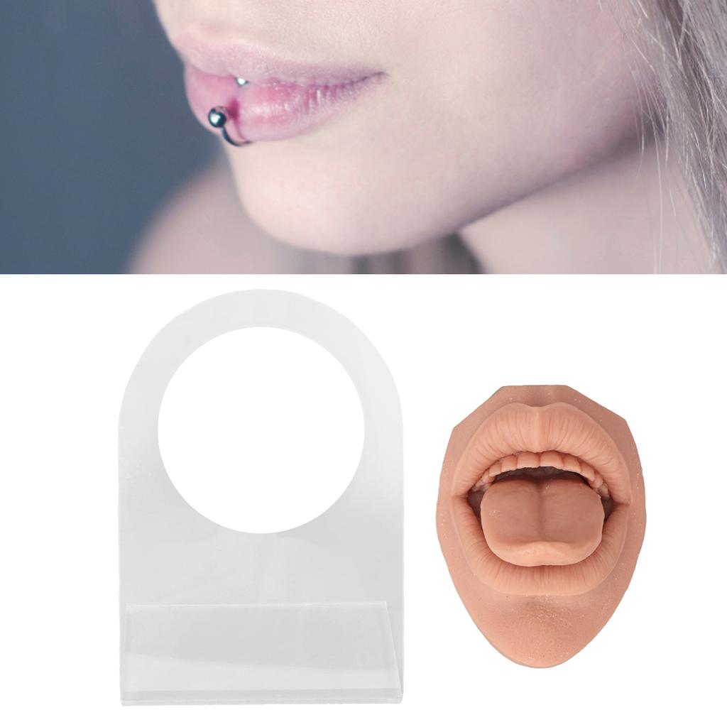 Modelo de lengua humana, silicona suave, soporte acrílico realista, modelo de boca para exhibición de joyería