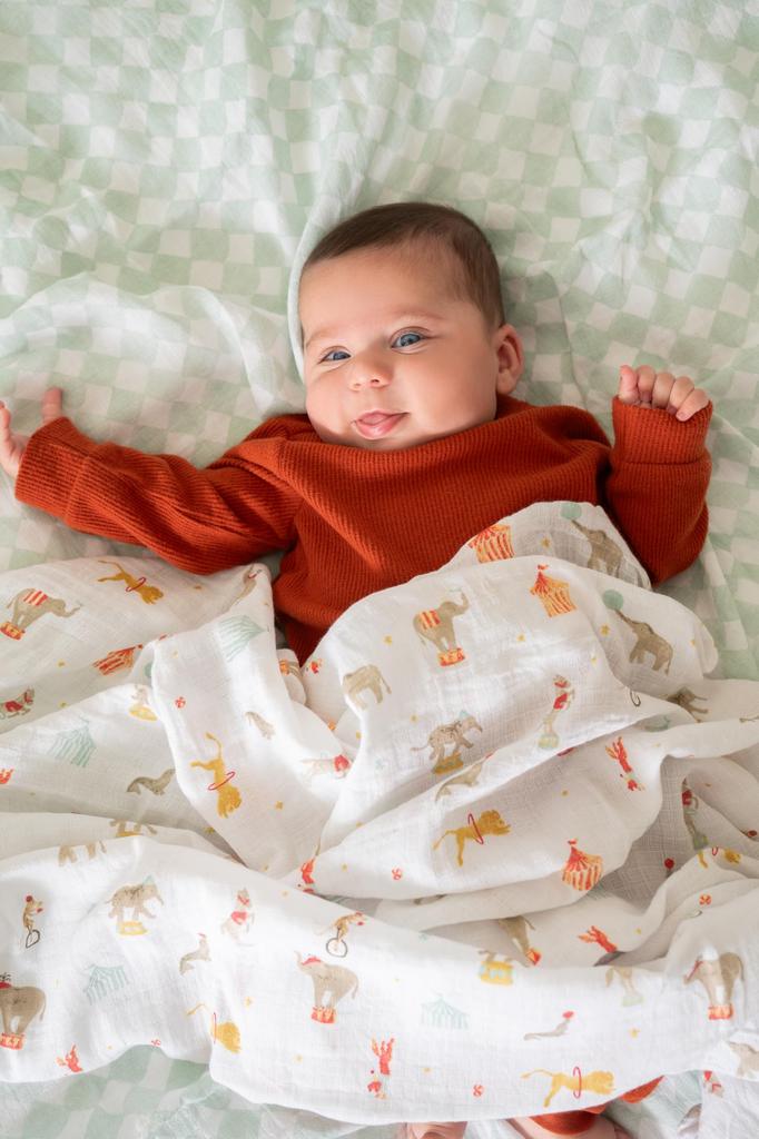 Aden Anais Essentials Swaddle 4 Elephant Circus Baby Swaddles SWADAEESWC40032 + (4 Pieces)