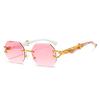 Leopard Head Frameless Polygonal Sunglasses for Men Women Unique Irregular Cut Edge UV Protection Stylish Shades