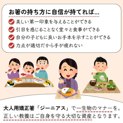 FlaColle Genius Chopsticks for Middle Schoolers To Adults: "Never Give Up, Serious Chopsticks for Adults" - Chopstick Practice Chopsticks [Designed To