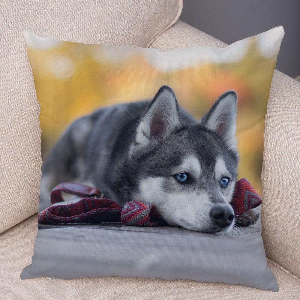 Pet Animal Sofa Cushion Cover Cute Siberian Husky Pillowcase Decorative Dog Print