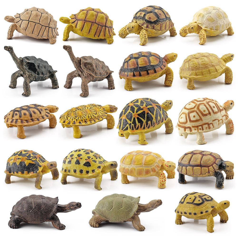 Realistic Turtle Action Figure Lifelike Amphibian Reptile Model Ornaments For Children Gifts Home Decoration