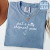 Comfort Colors Pregnancy Announcement Shirt, Goose First Baby T-Shirt, Pregnant Baby Reveal Tee, Mothers Day Gift, Going To Have A Baby