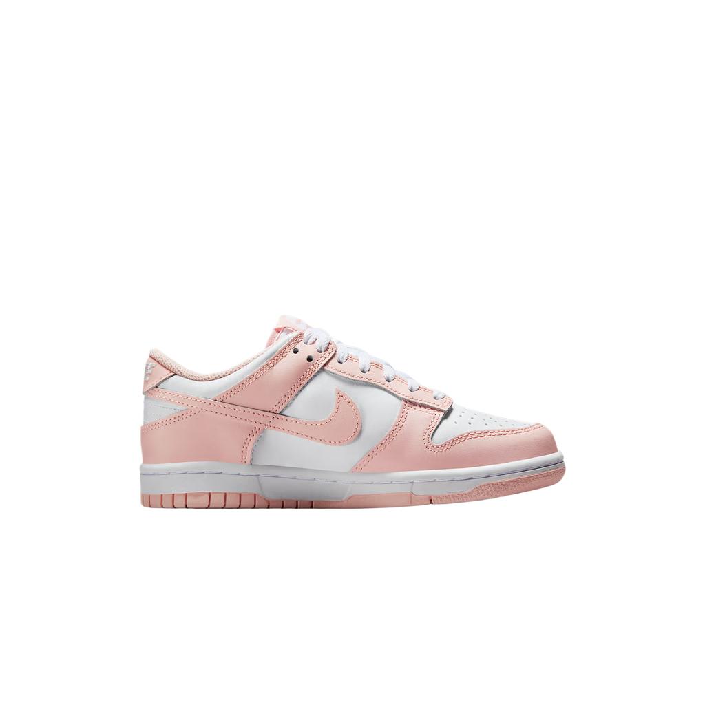 Nike Dunk Low GS Washed Coral Kids Sneakers Pink White IF6172-100