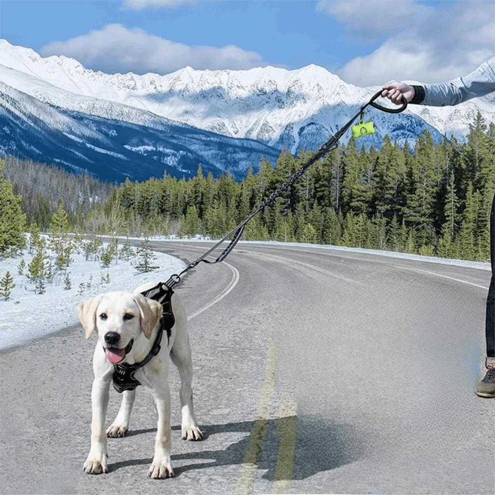 Shock Absorbing Reflective Pet Dog Leashes Elastic Buffering with Car Safety Buckle Dog Walking Rope Wear Resistant