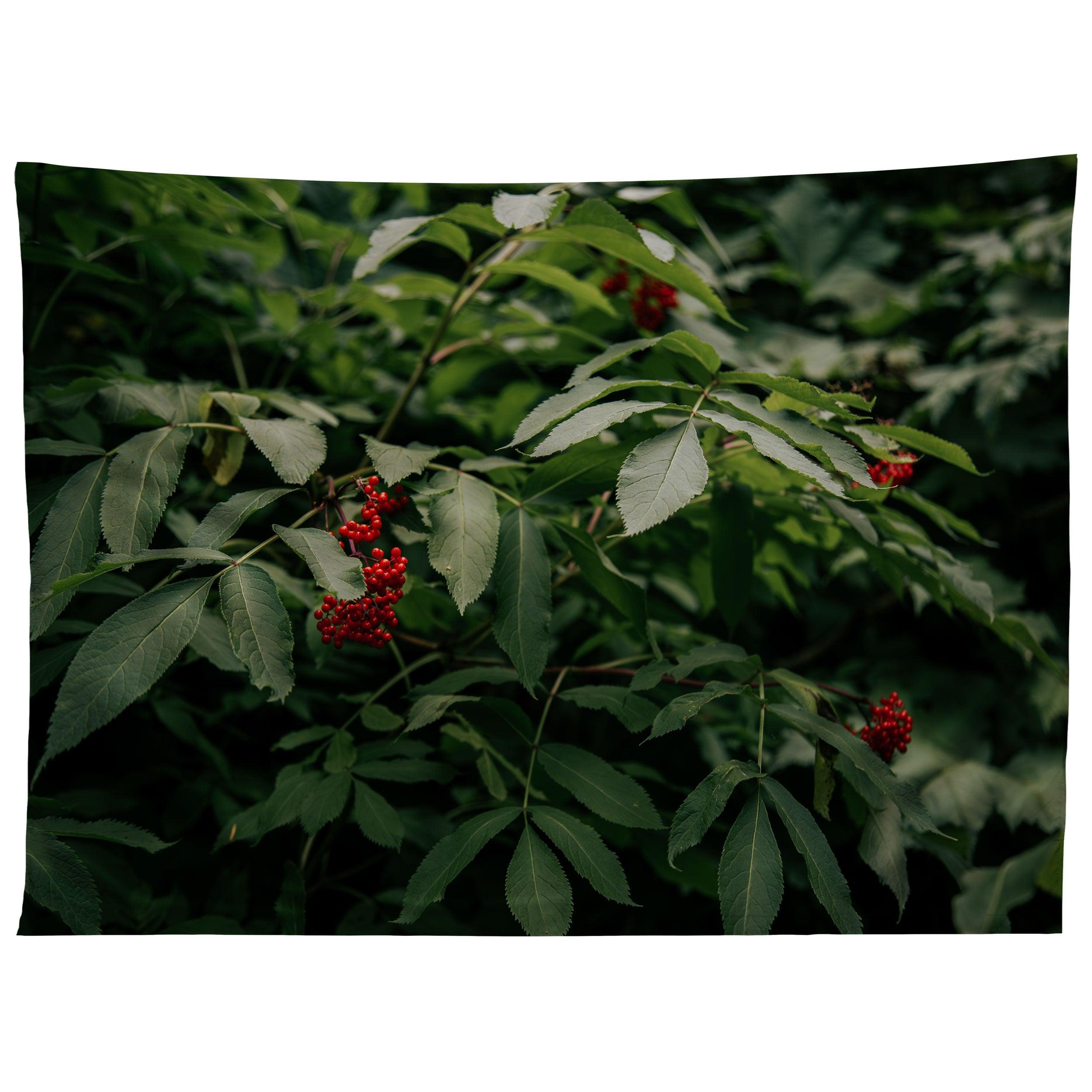 RED ELDERBERRY tapestry 75x100