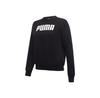 Puma Hoodie 847211