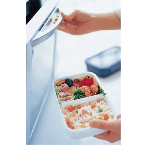 Iwasaki Kogyo Made in Japan Lastro Neoism Lunch Box, Size 2, DB B-1222